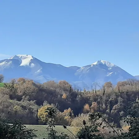 Agriturismo Merlino Lantgård