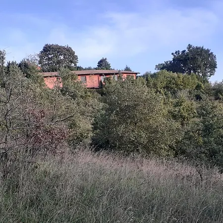 Agriturismo Merlino Farm stay *