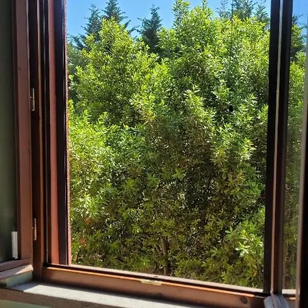 Agriturismo Merlino Pergola